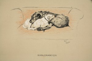 Amalgamation, 1930, 1ère édition de 